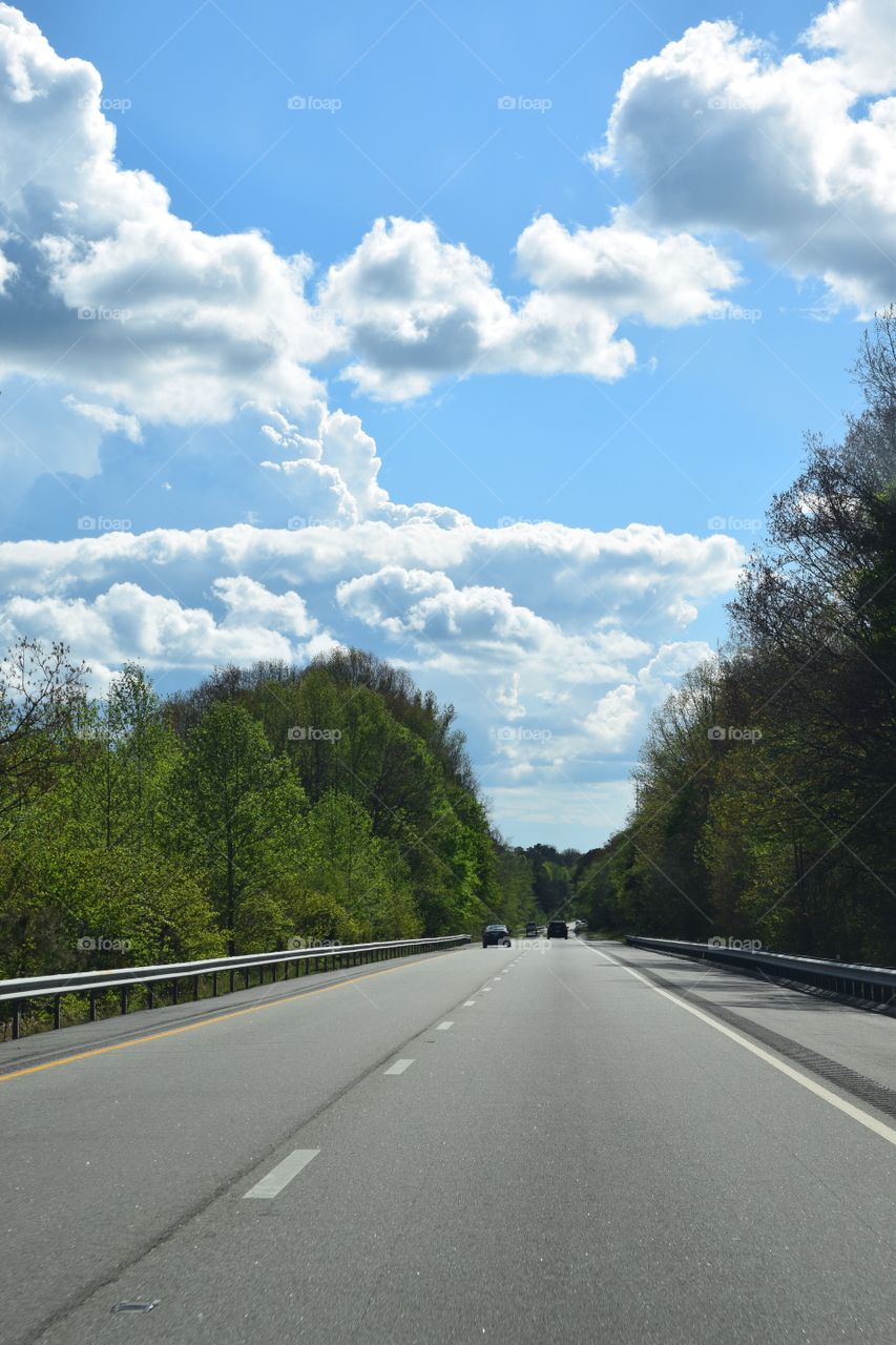 Road passing through trees