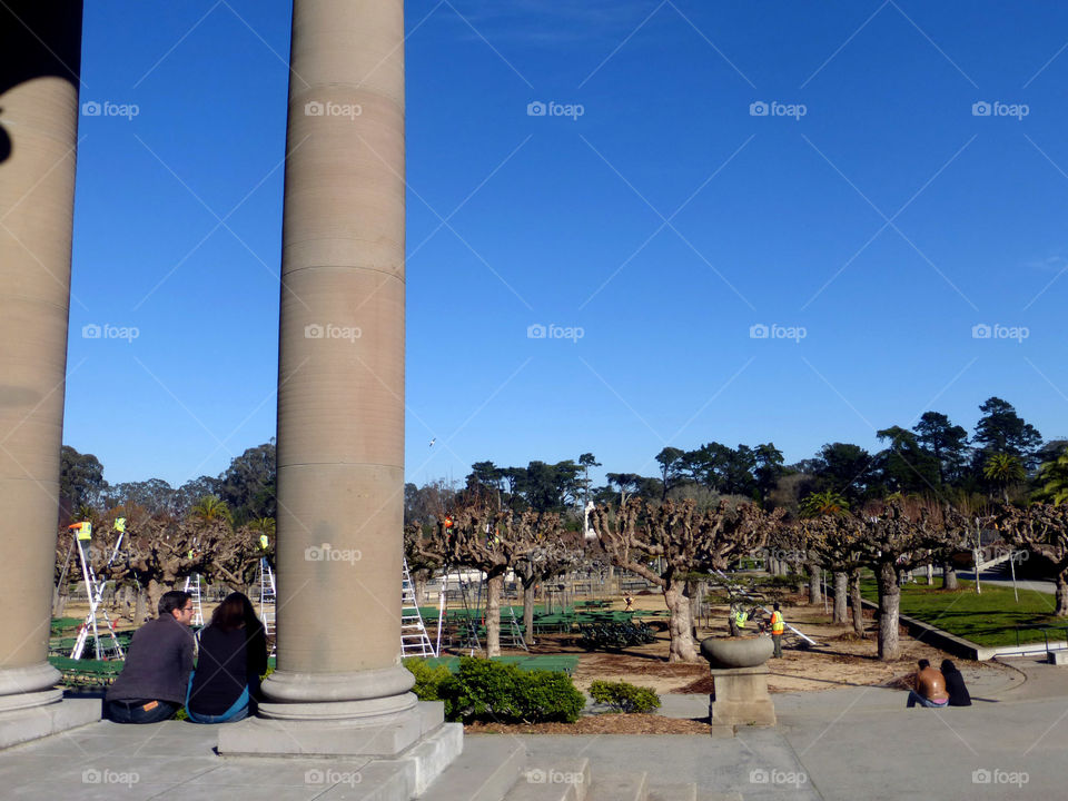 photo story, couple talking, men working on trees without leaves