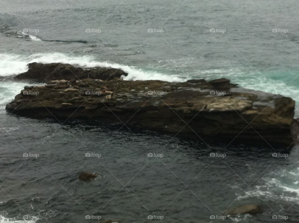 Water, No Person, Surf, Seashore, Ocean