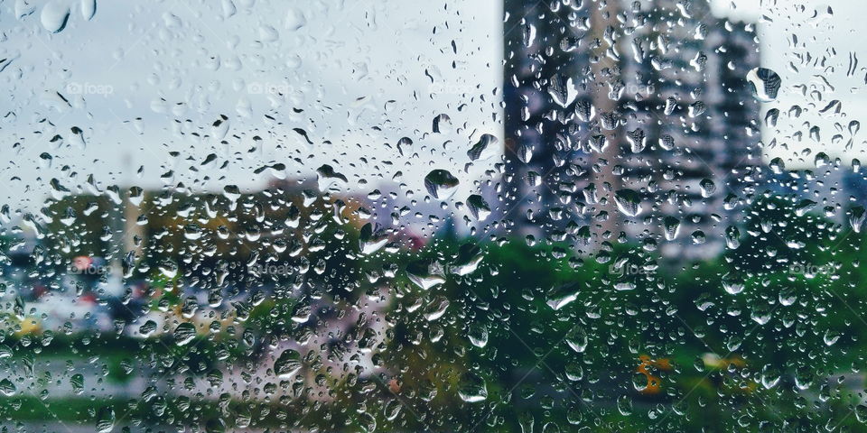 raindrops on the glass