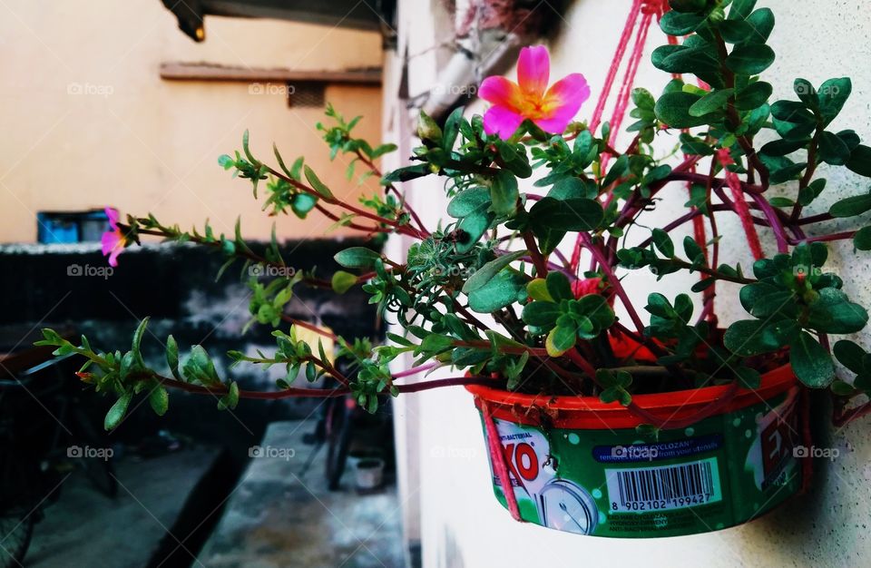 Utilise the waste #wecare