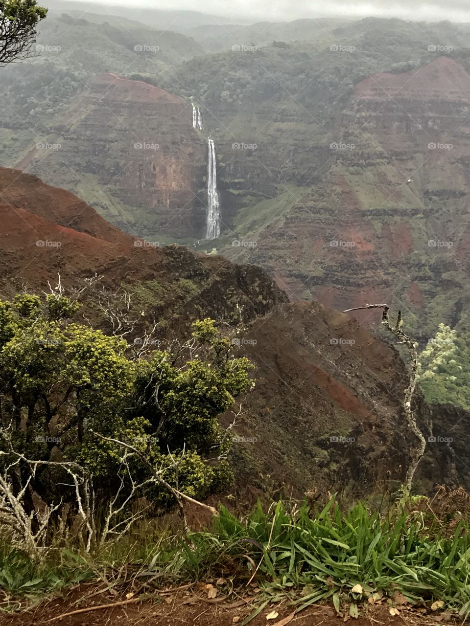 Waimea Canyon 