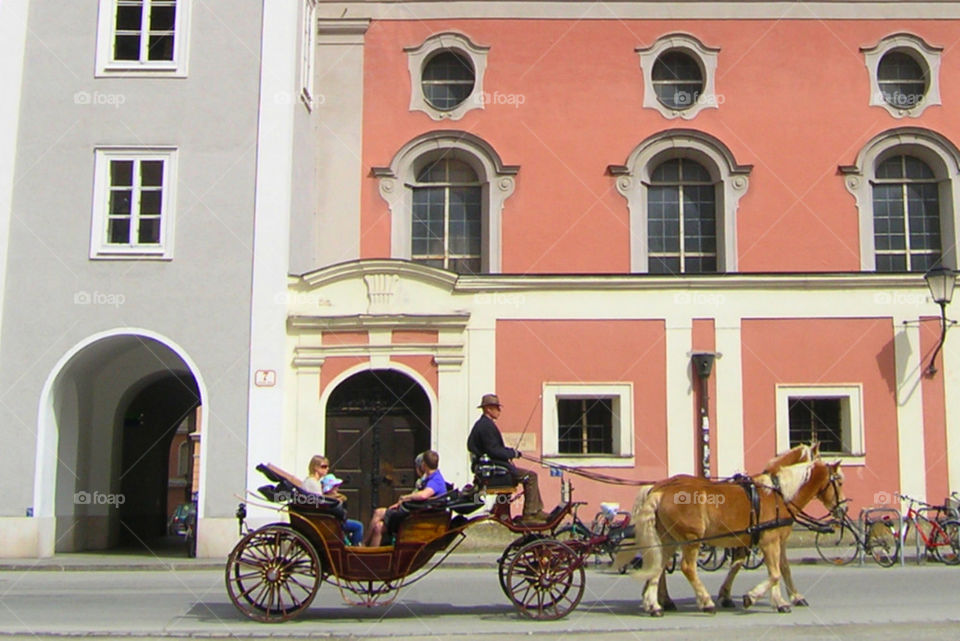 Horse and carriage
