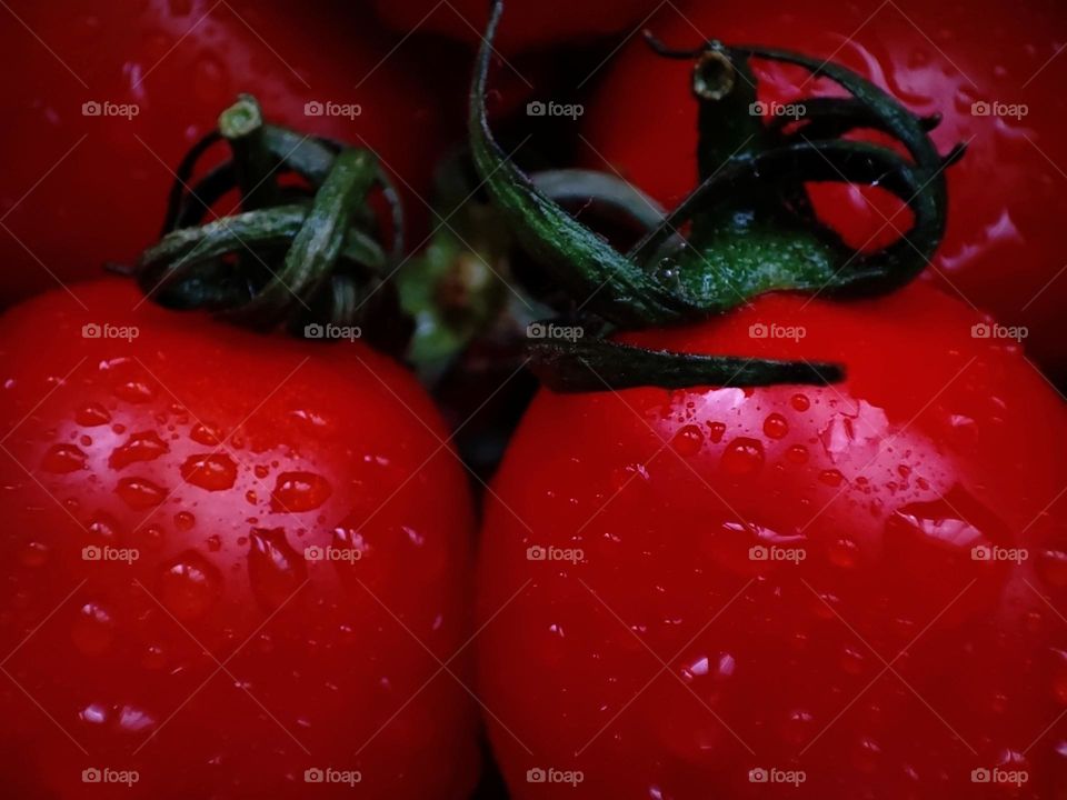 Fresh cherry tomatoes /Bright red cherry tomatoes with water drops on them