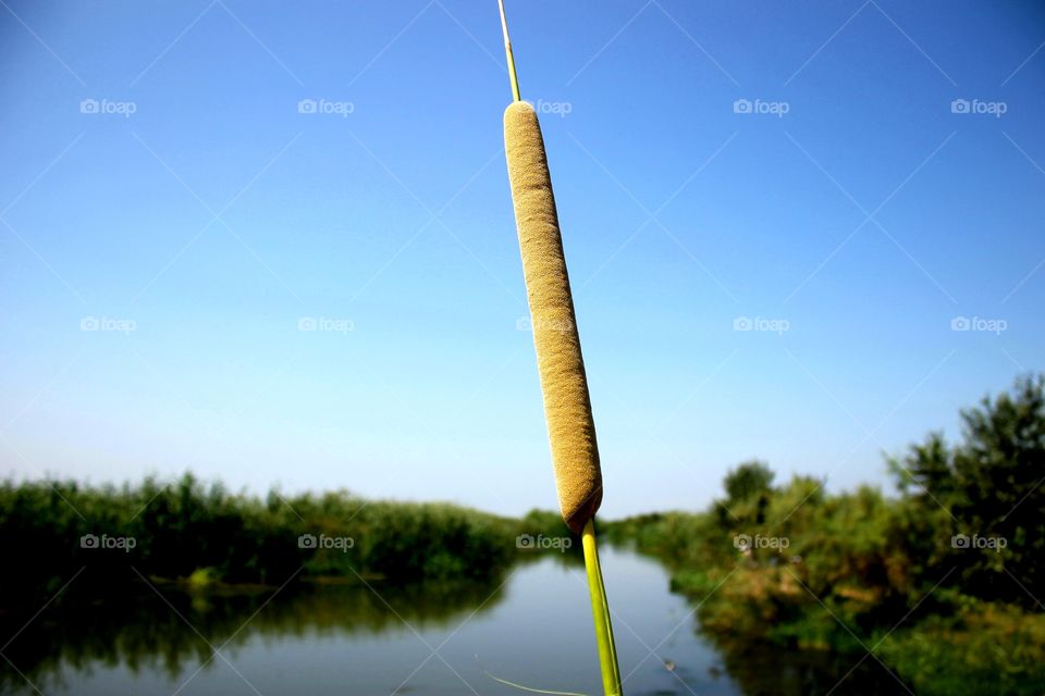 Aras river-Azerbaijan-Iran
