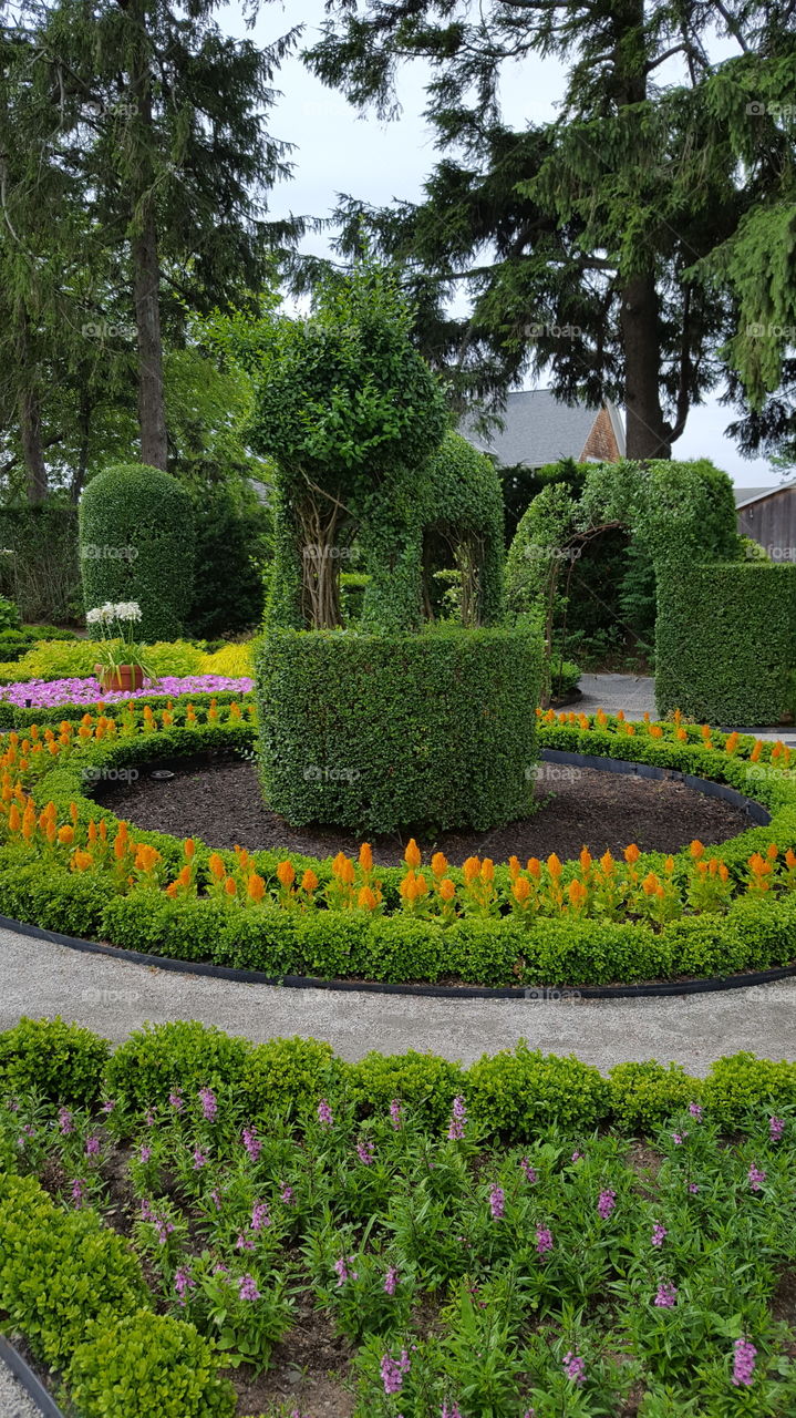 Garden, Flower, Topiary, Hedge, No Person