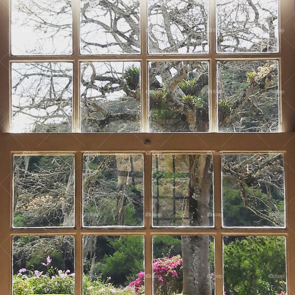 Window on the farm