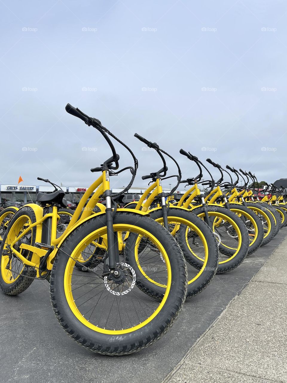 Many yellow bicycles outdoor 