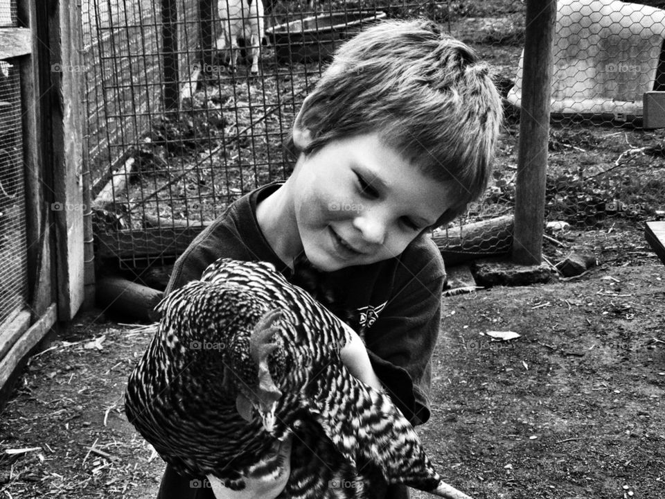 Boy holding a chicken on the farm