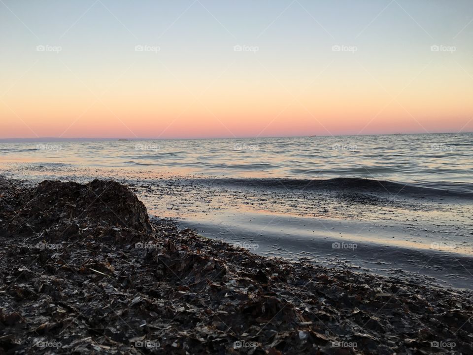 Remote secluded beach at sunset, seaweed and sea grasses washed ashore