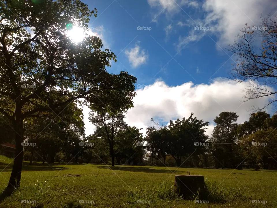 Green and blue
