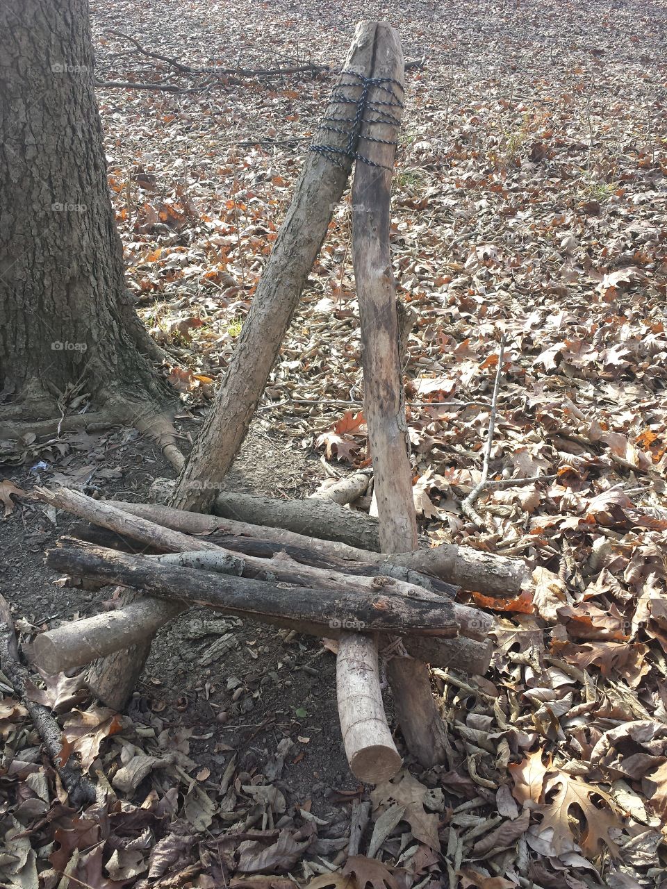 monkey mountain views