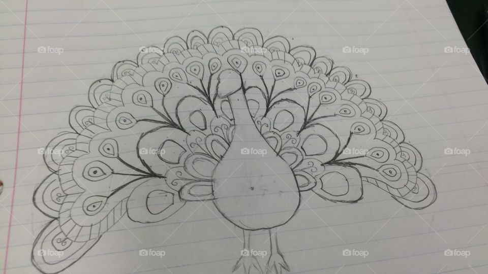 Peacock
