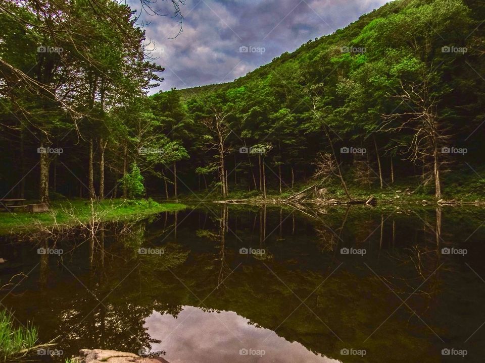 Devils Tombstone New York, wildlife, lake, grass, nature, landscape, peaceful, road, clear water, water, like mirror, trees, mountains,