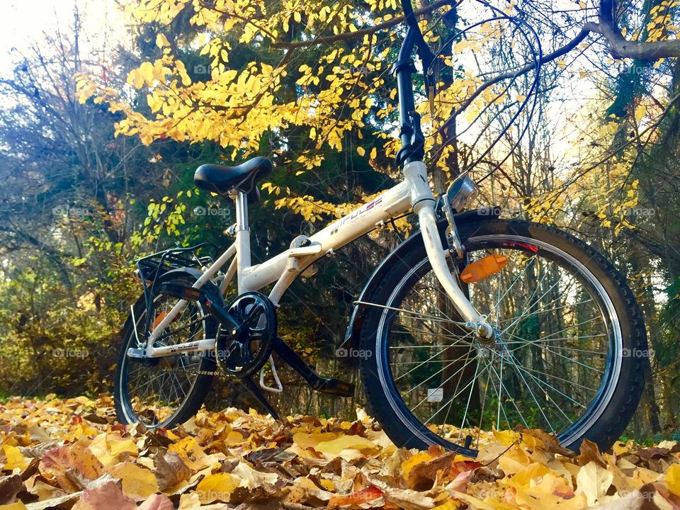 Riding the bike in autumn
