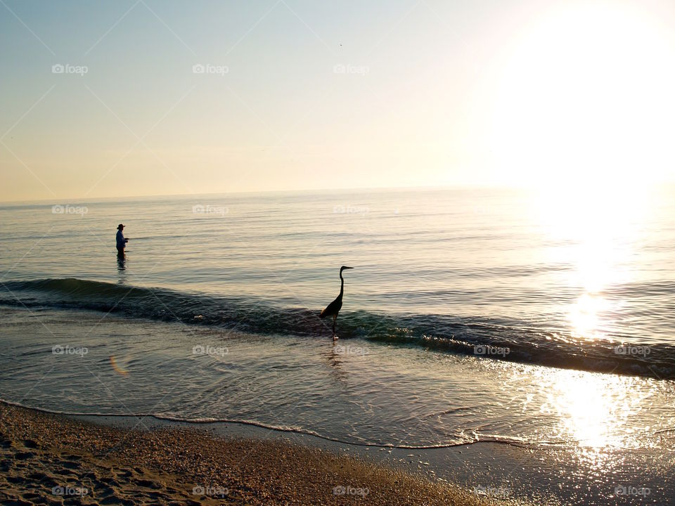 Sharing our Sea and All it has to Offer