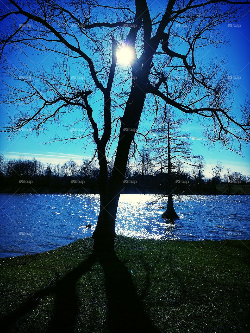 Water and the bright blue sky