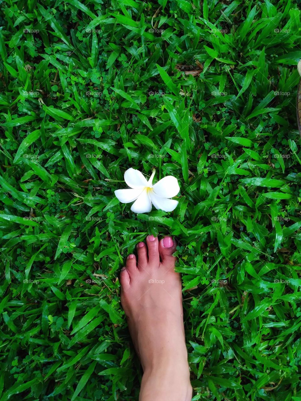 Walk as if you are kissing the earth with your feet.