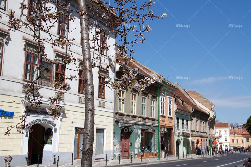 springtime in town, 
Brasov, Romania,