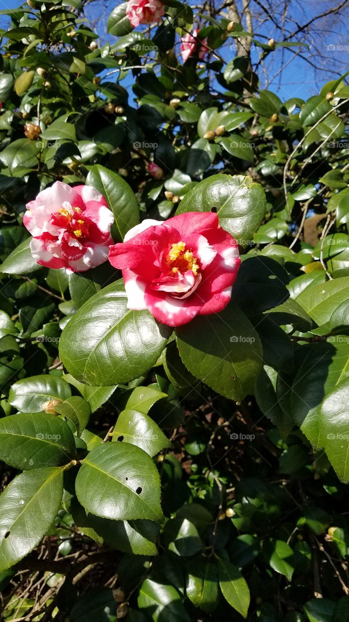 Spring just around the corner