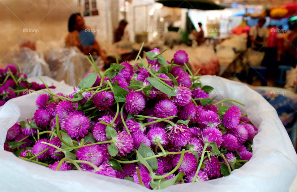 flower purple market offering by cataana