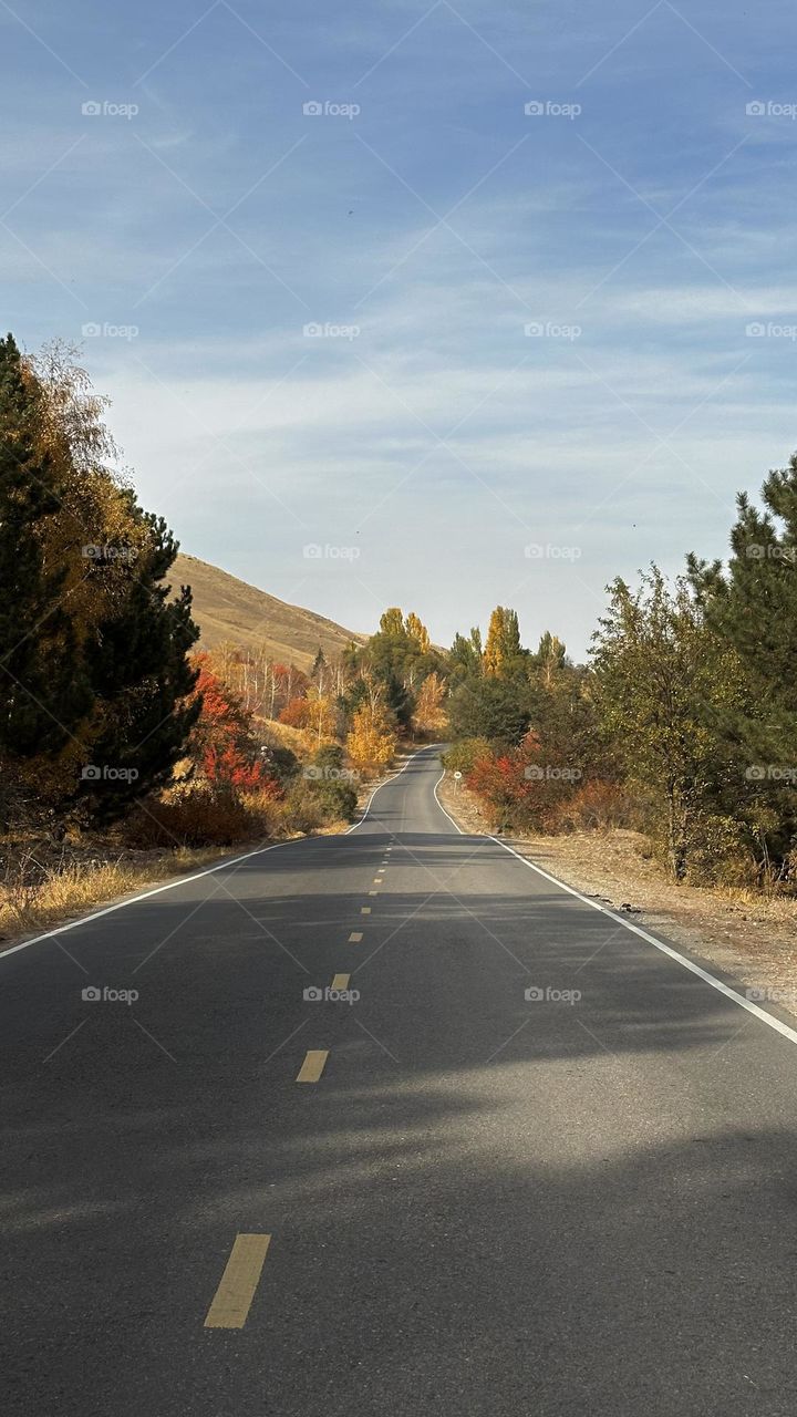 Path. Road. Direction. Life