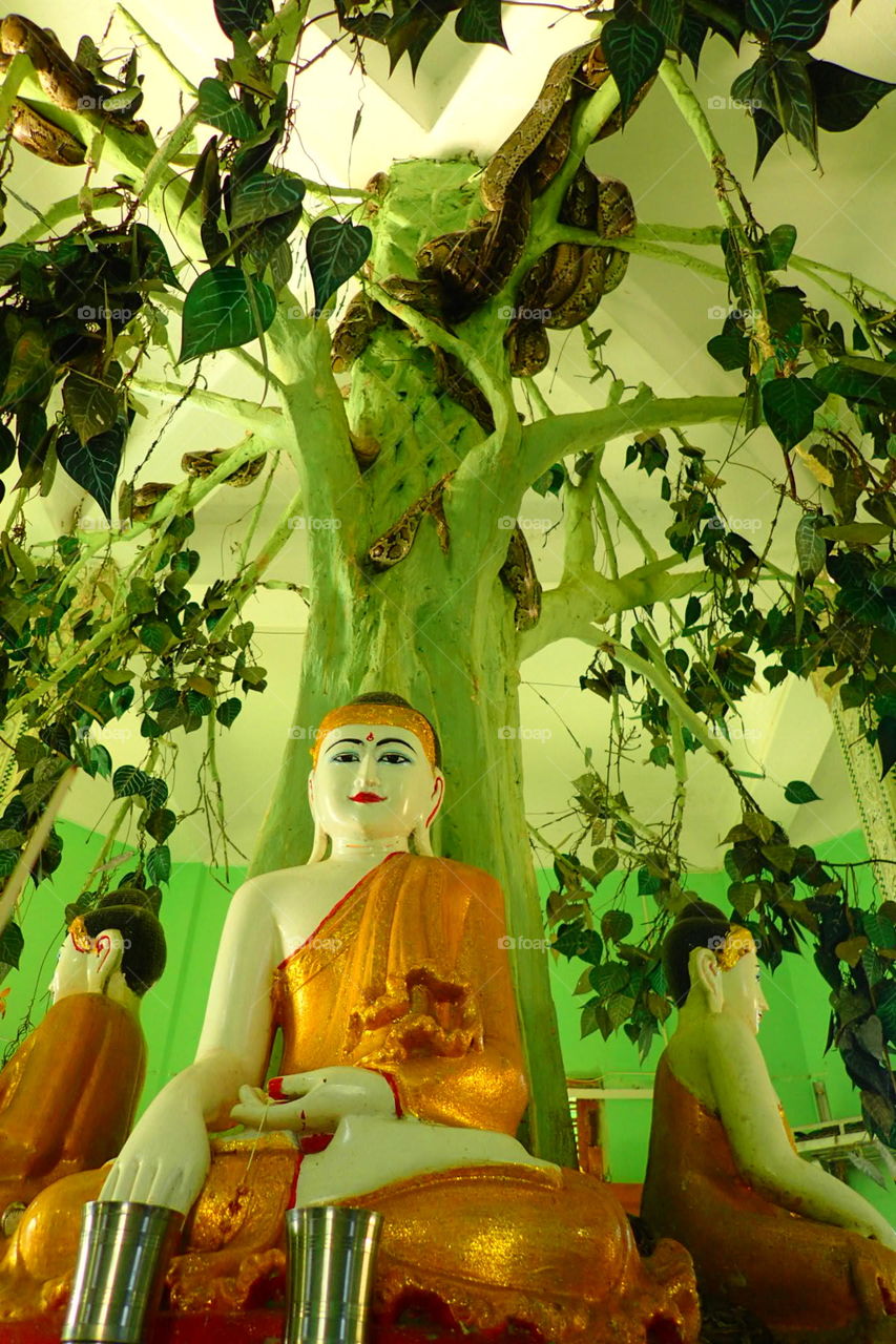Snake temple Myanmar