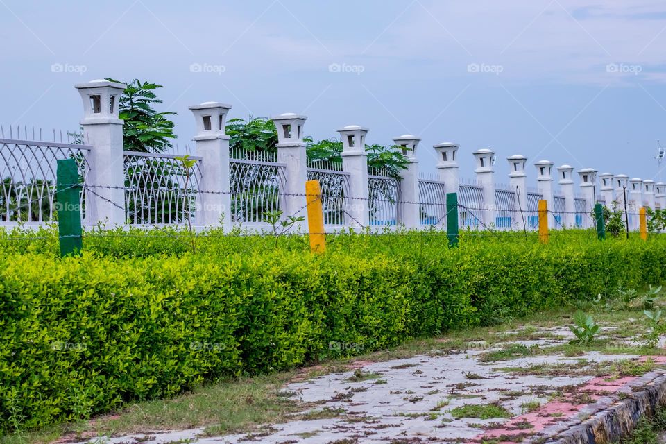 city fencing plants