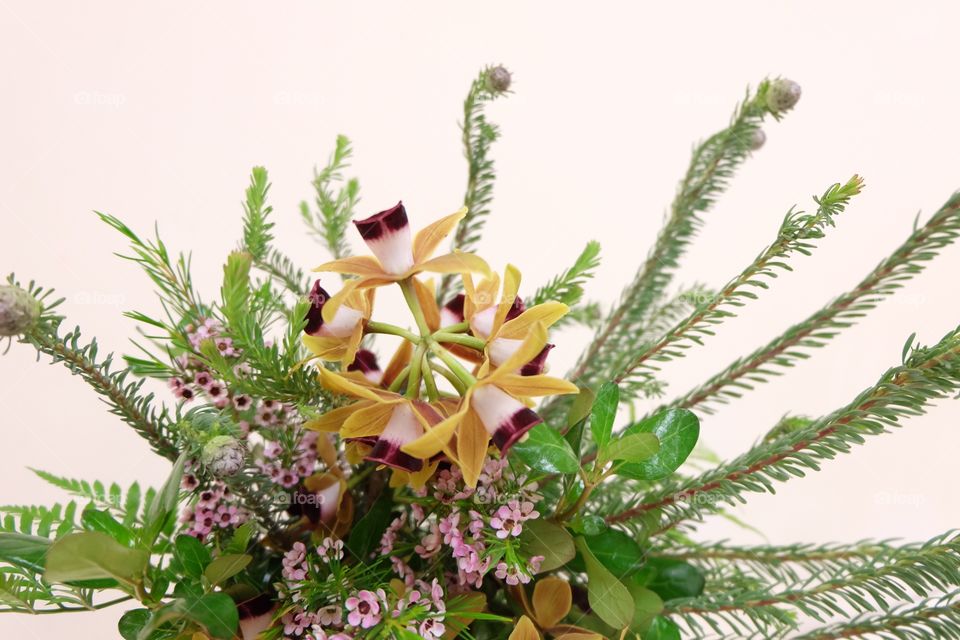 Floral arrangement, orchids and white and pink fillers