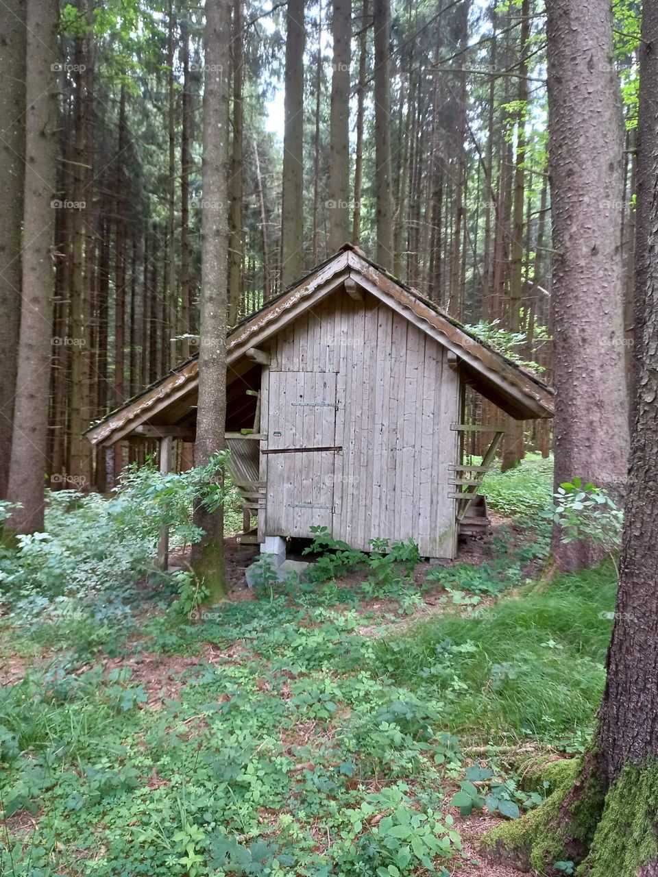 Forestry Hut in Bavarian Forest