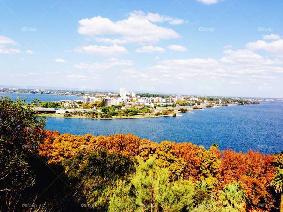 Natures beauty . Perth 