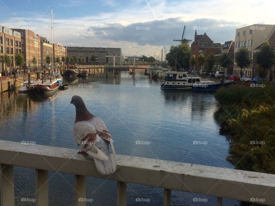 Delfshaven, old town. Netherlands