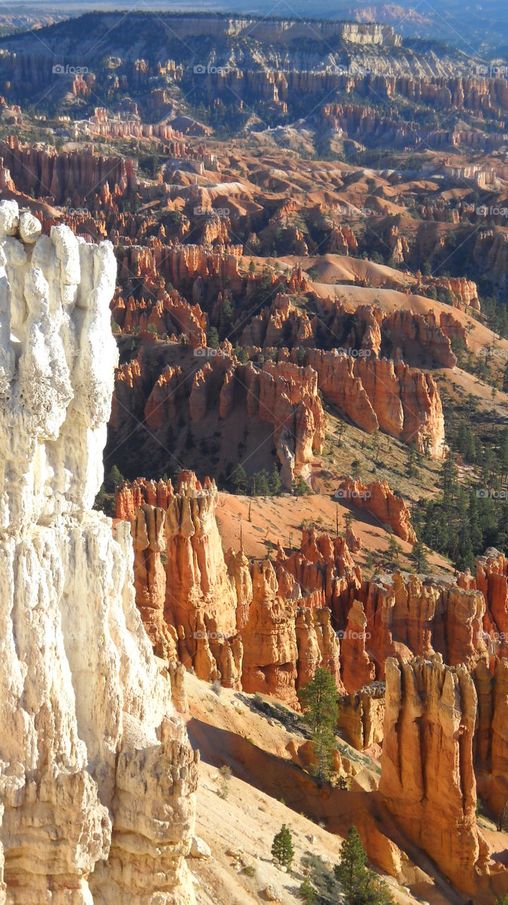 Spires. Spires in Bryce