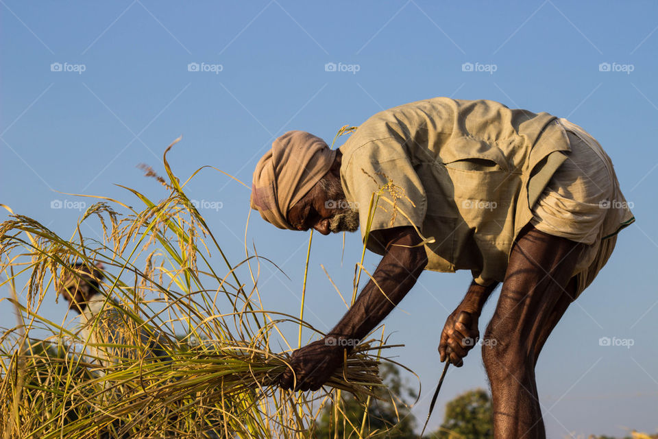 farmer