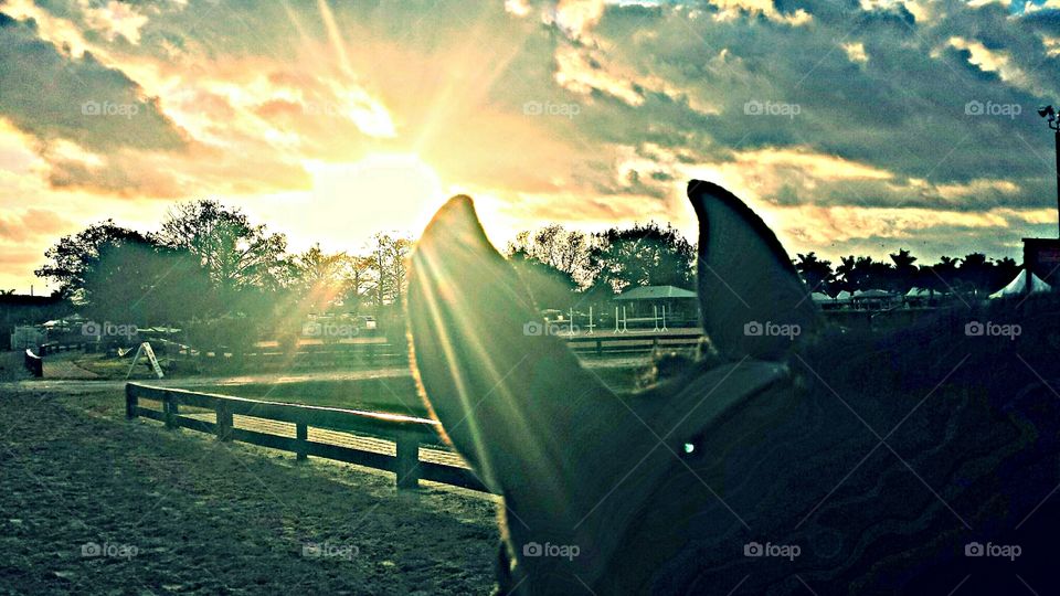 Sunrise at the horse show