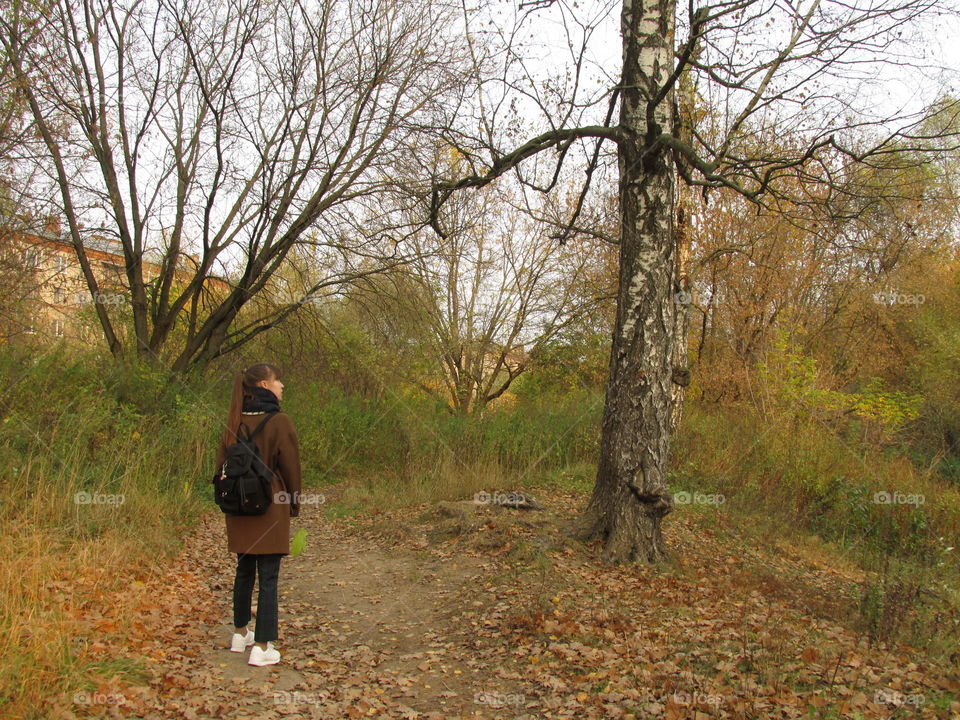 walk in the autumn morning forest. silence and tranquility of nature