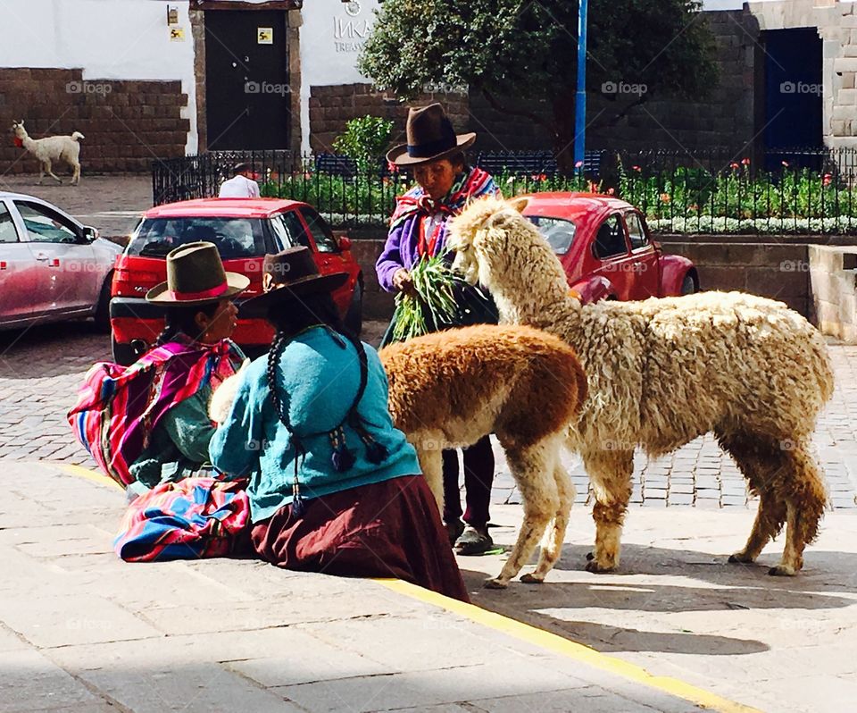 Three women dressed in vibrant traditional garb rest and tend to their alpacas on a sidewalk in Cuzco. 