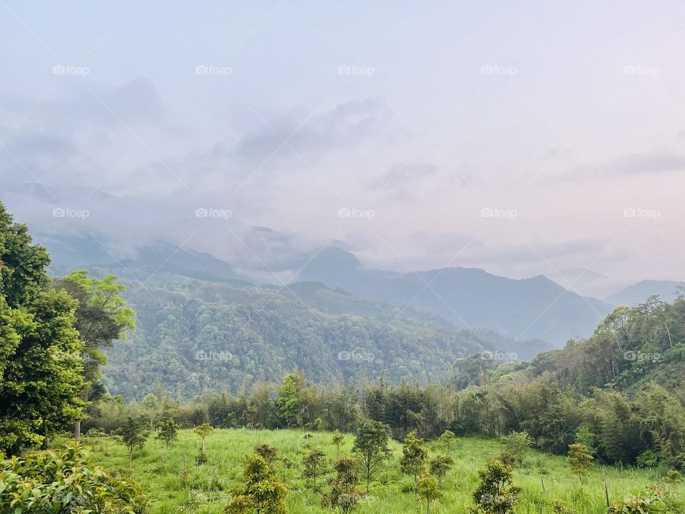 This photo of Wufeng Township's green grassland, hills, and clouds evokes a serene mood. Experience nature's beauty firsthand by planning a hiking trip for an unforgettable experience.