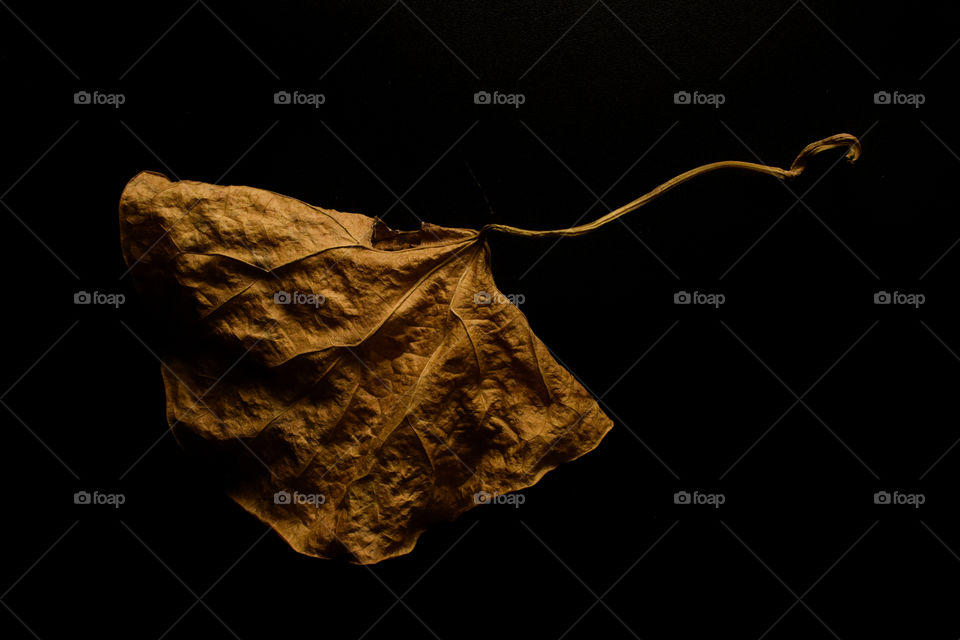 End is always lonelier, make life worth it.