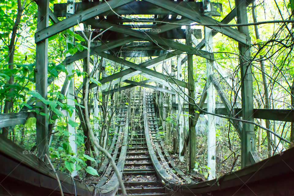 A ride Through the Jungle. abandoned amusement park. lies this abandoned roller coaster