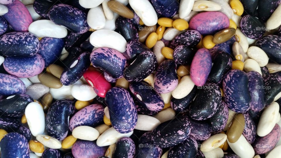 assorted colorful fresh garden beans