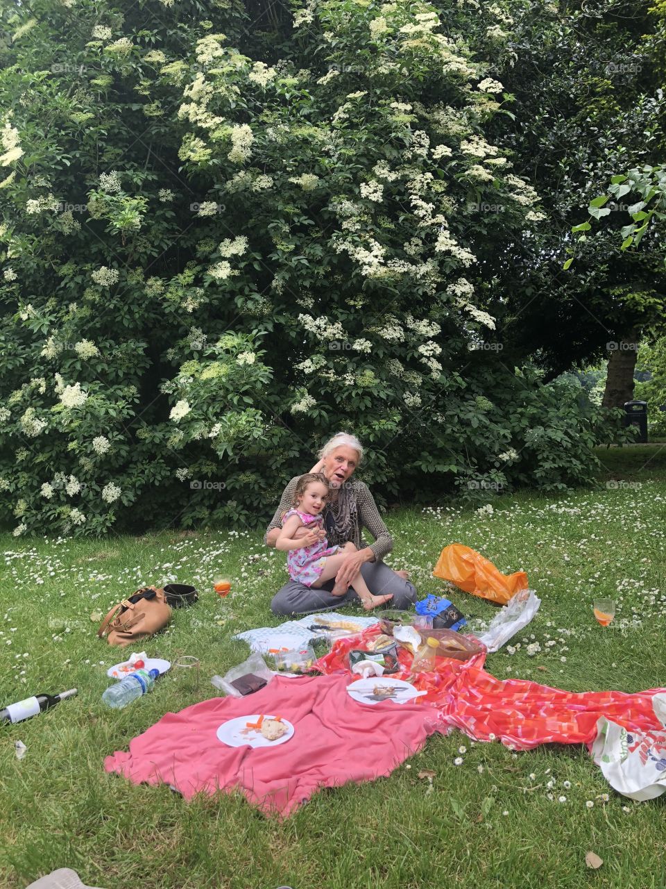 Summer picnic with grandma 