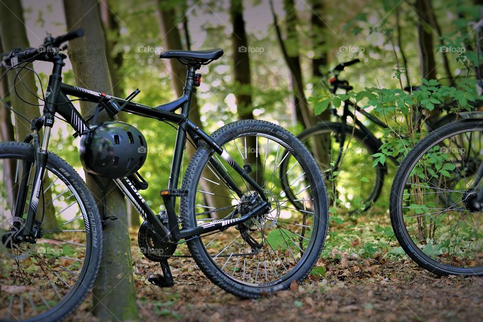 mountain bikes in the forest