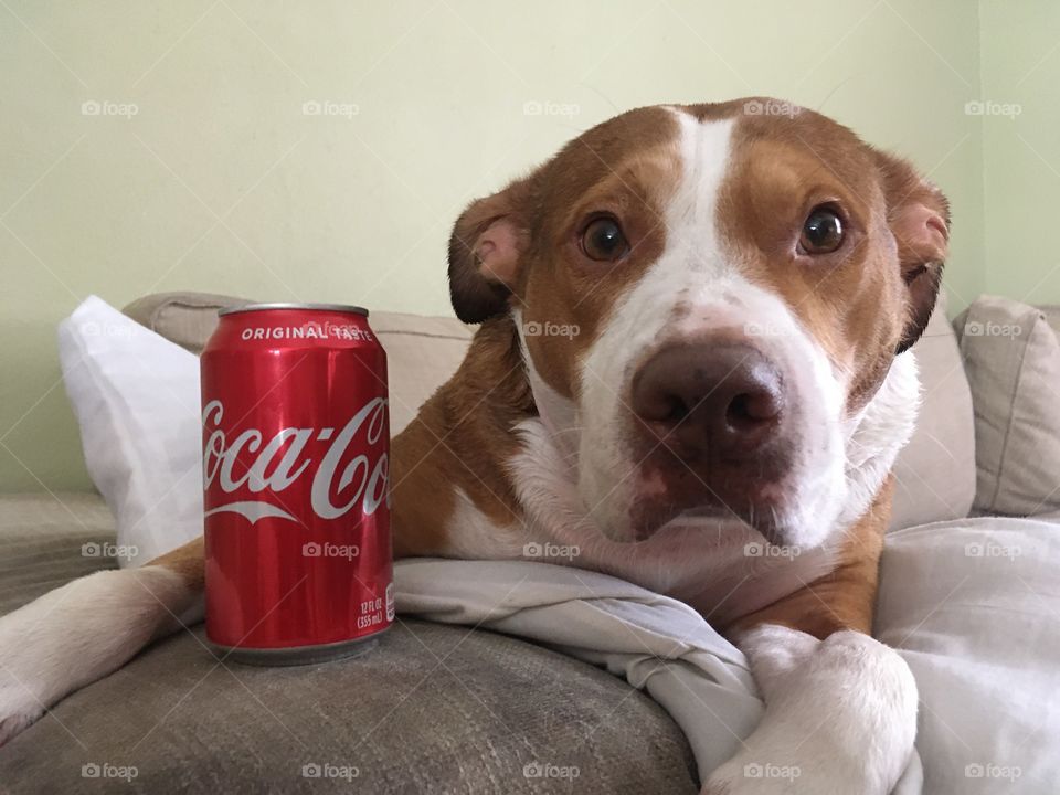 Coca-Cola photography mission 