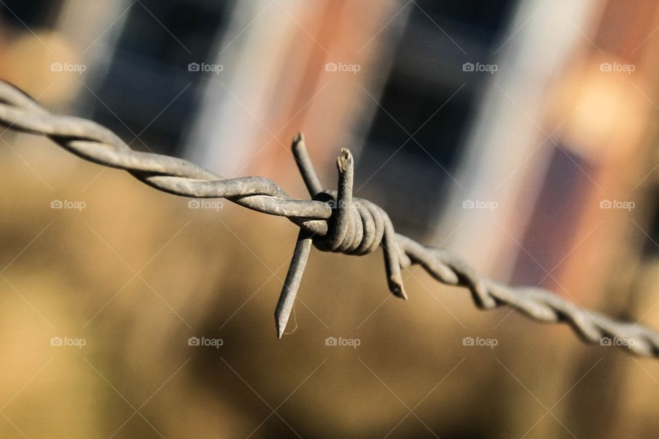 Close up view of a barbed wire