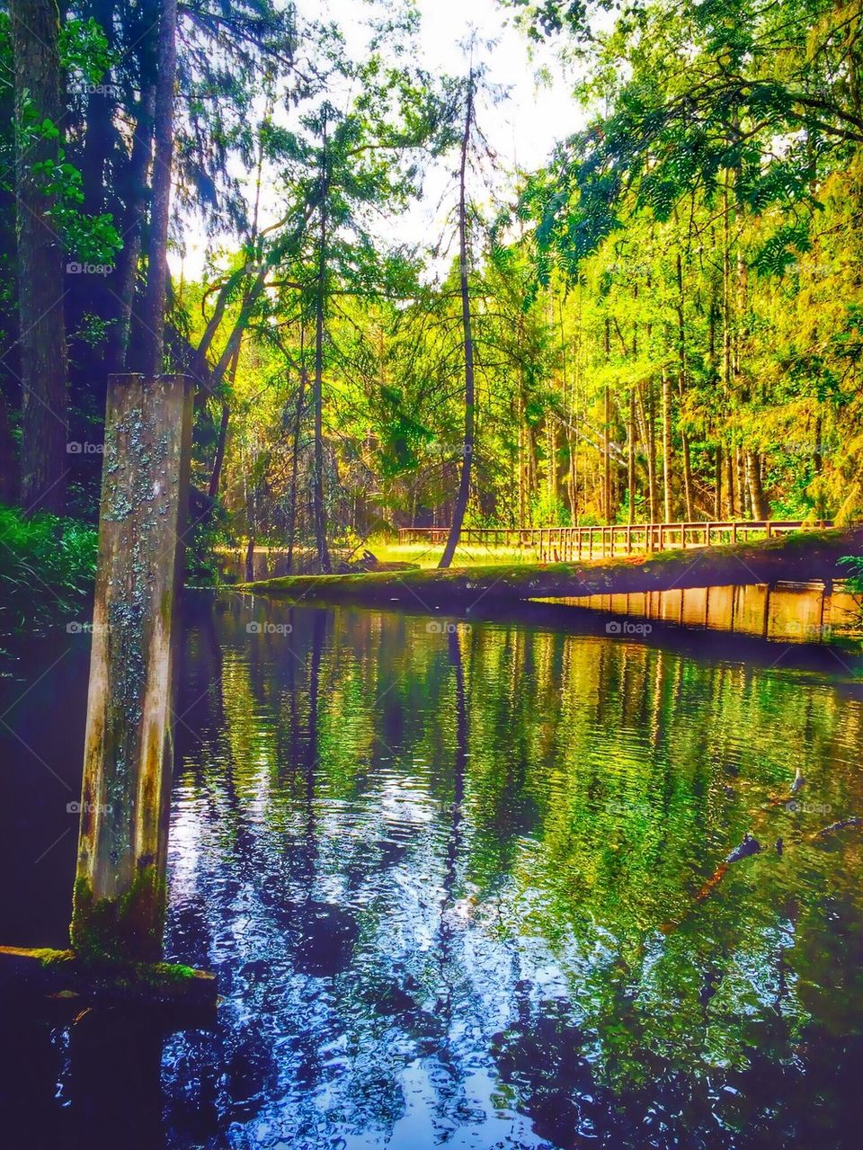 Ingbo sources and Mill in Sweden 