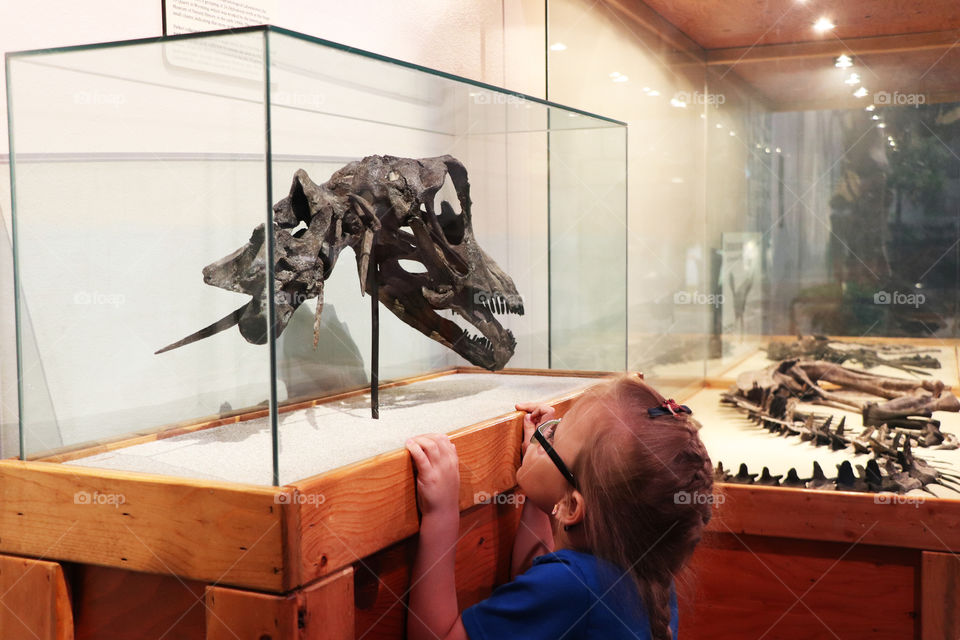 Girl admiring the skull of a dinosaur at the museum