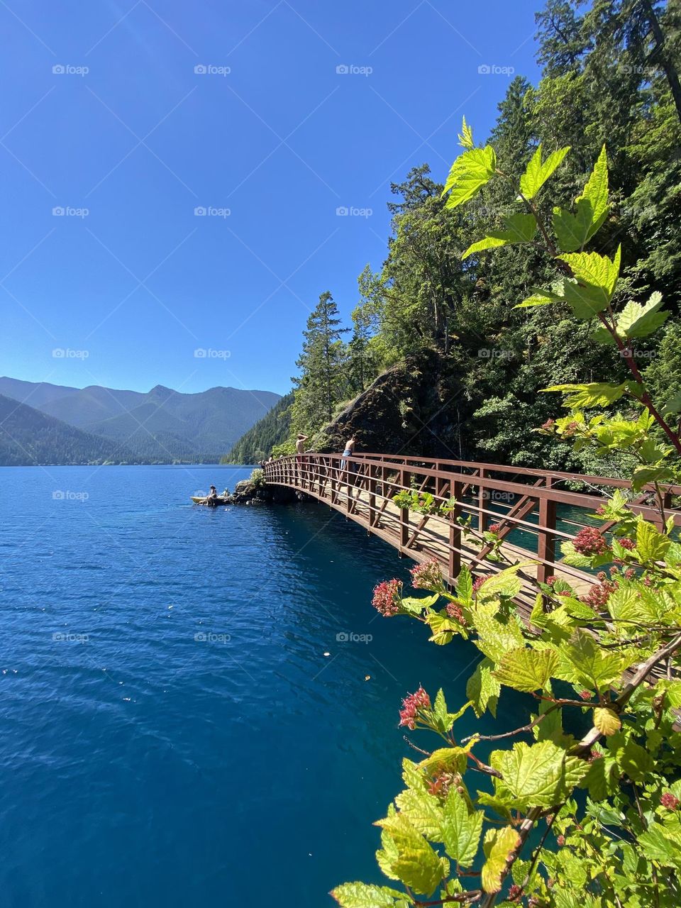 Lake Crescent on a sunny summer day