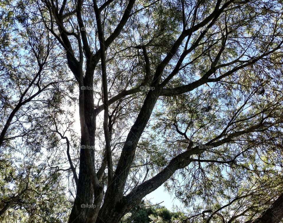 sky nature blue white by king