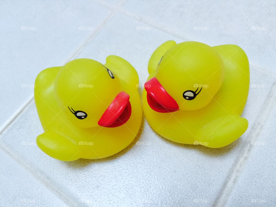 My ducks